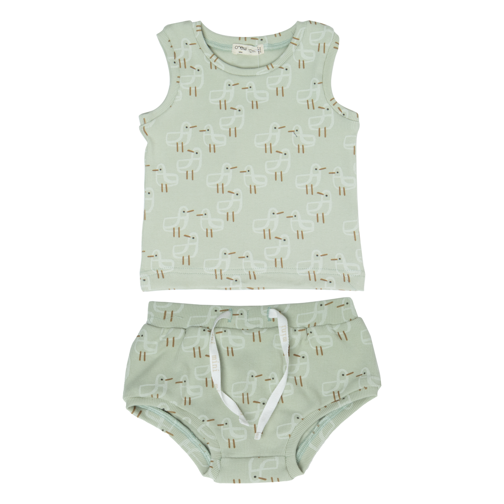 Crew Ribbed Boys Set- Celery