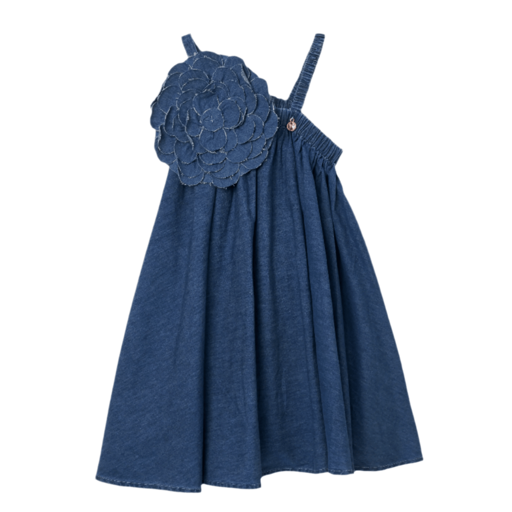 Angel & Rocket Dress Jellybeanzkids Angel & Rocket Marnie Denim Corsage Swing Dress