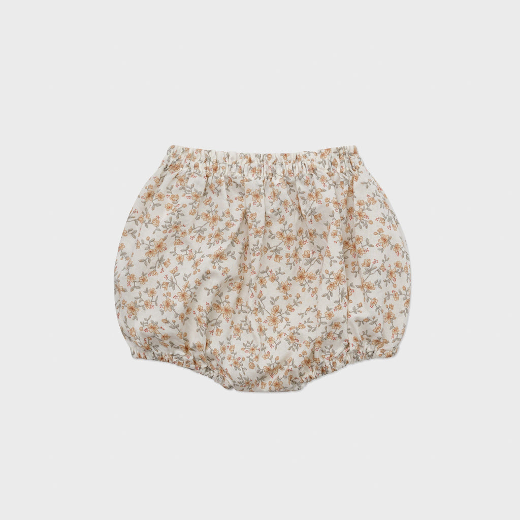 Louisiella Bloomer Jellybeanzkids Louisiella Hervia Bloomers